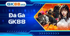 Sân Chơi Đá Gà GK88