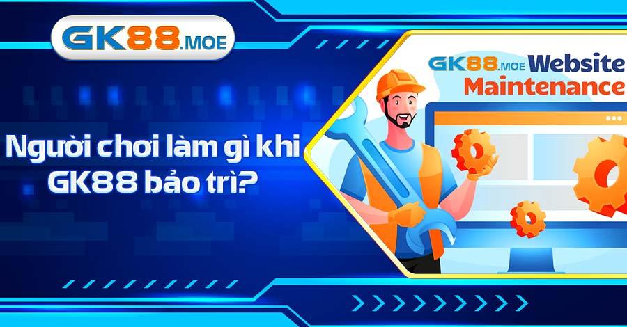 Thành viên nên làm gì khi nhà cái bảo trì?